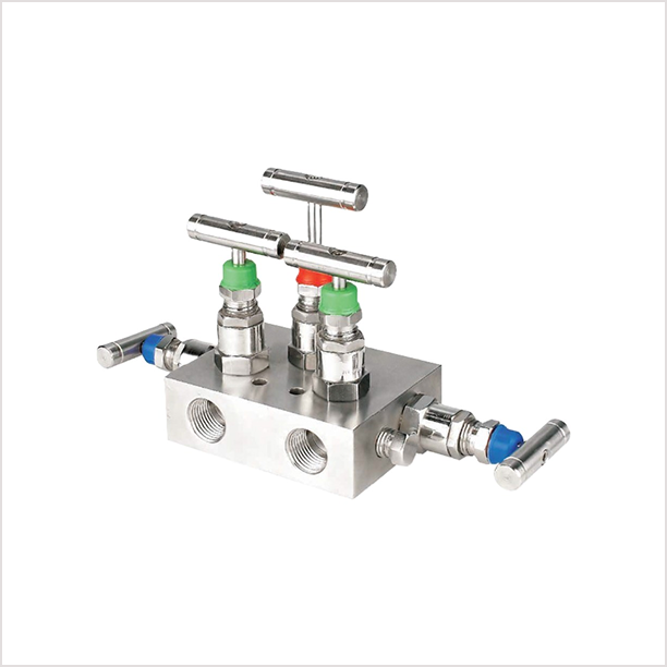 Five Valve Manifold R Type